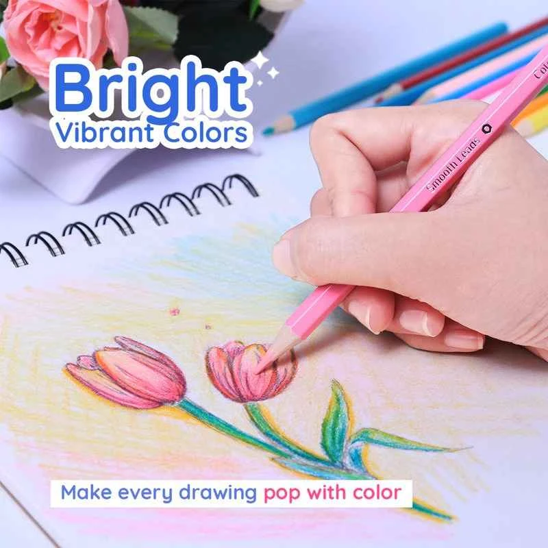 Bantex Colour Pencil BK3001 12 Colour Pensil Warna